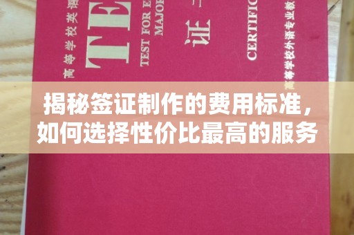 平溪揭秘签证制作的费用标准，如何选择性价比最高的服务？